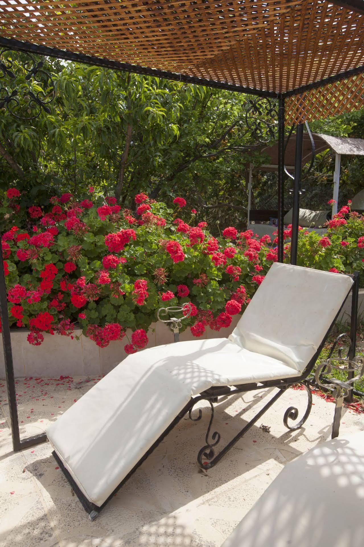 Lapida Garden Hotel Lapithos  Luaran gambar